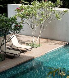 Lloyd Sixtyfive (D9), Apartment #349784351